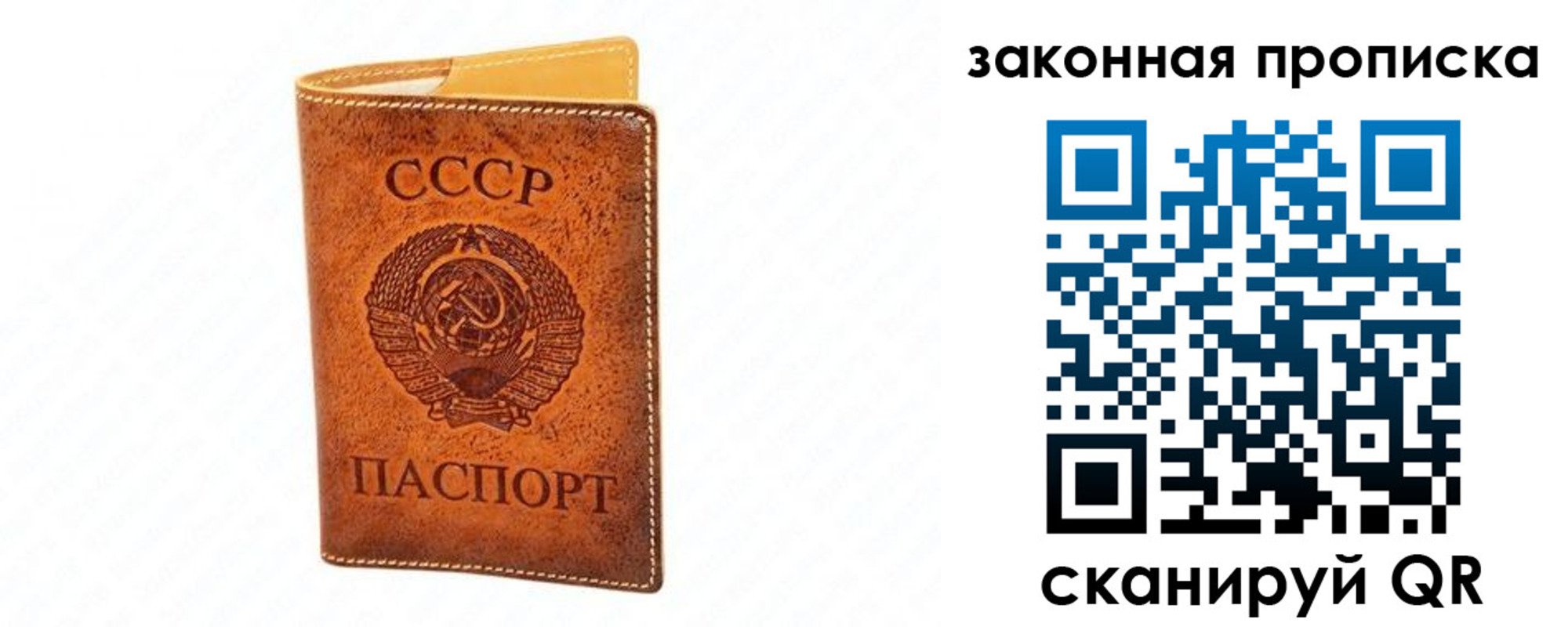 прописка в Димитровграде